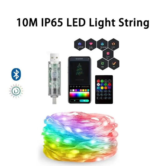 10M Leather LED Light String